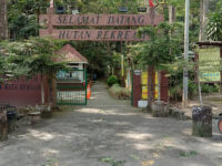 Tekala River Recreation Forest Travel Forum Reviews