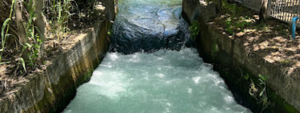 Tel Dan Nature Reserve Travel Forum Reviews
