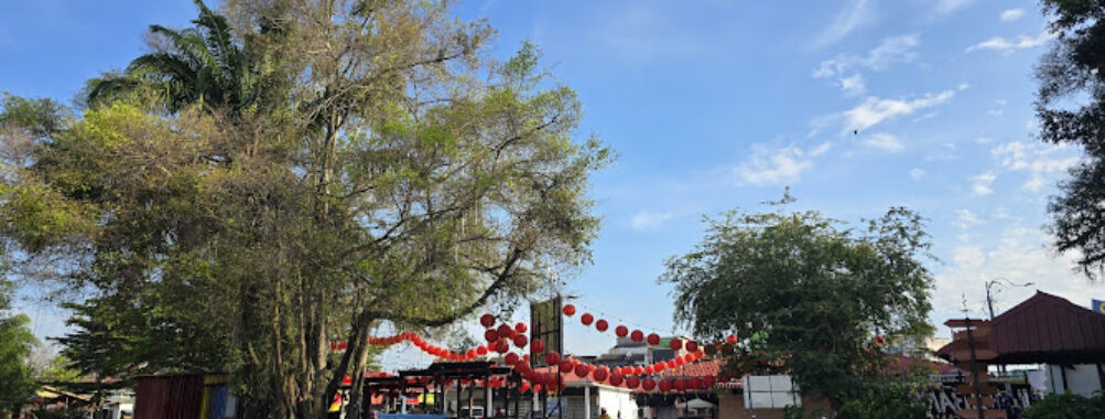 Teluk Intan Firefly Marvels River Cruise Perak Travel Forum Reviews