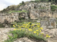 Temple of Eshmun Travel Forum Reviews