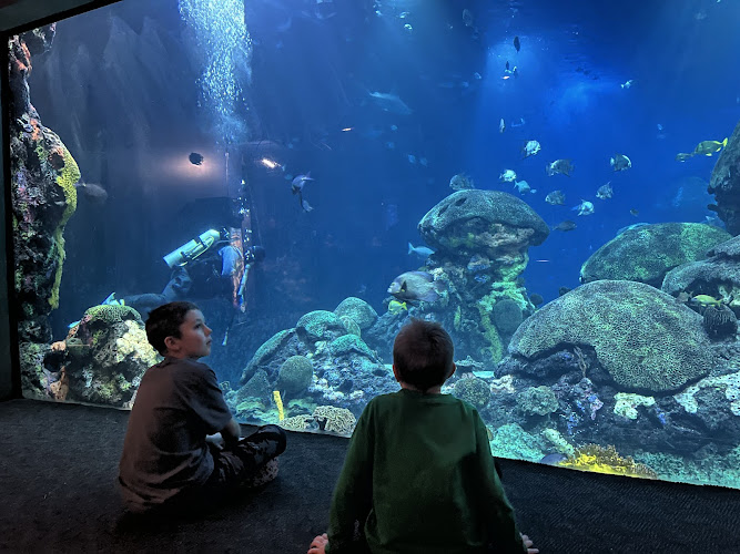 Tennessee Aquarium