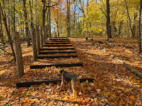 Terra-Cotta Natural Park Travel Forum Reviews