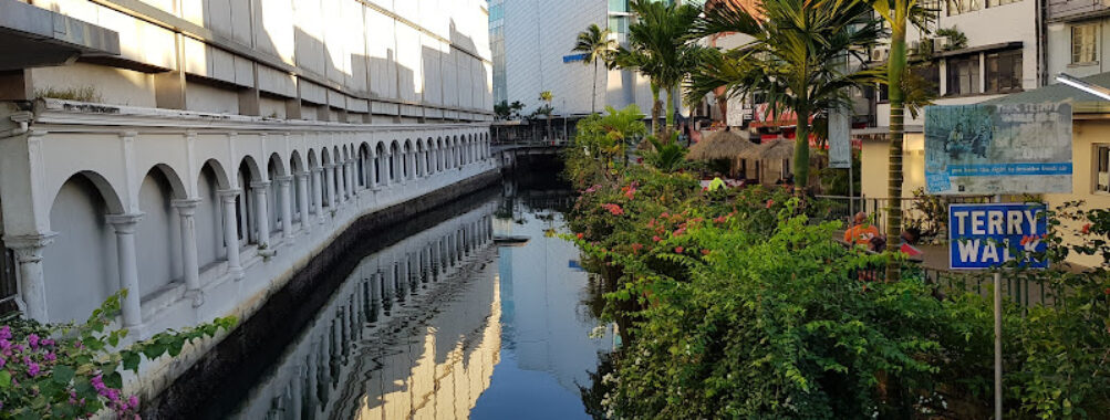 Terry Walk Travel Forum Reviews