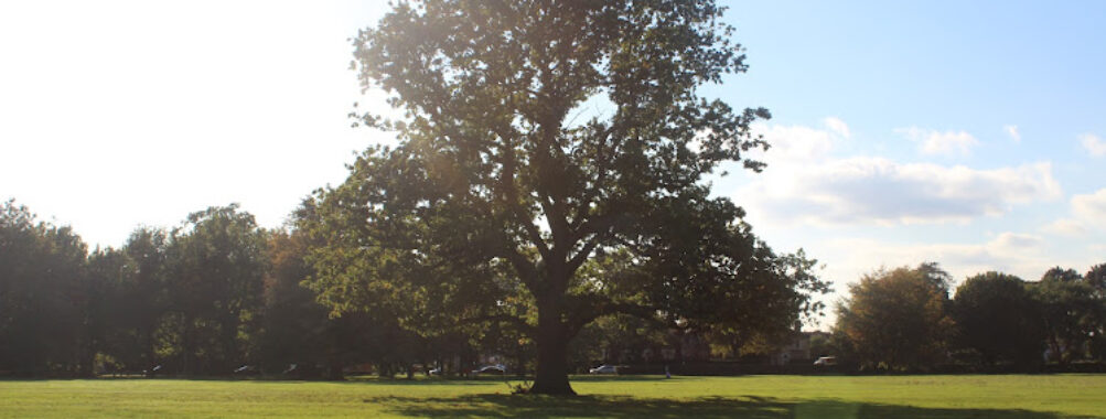 Tettenhall Green Travel Forum Reviews
