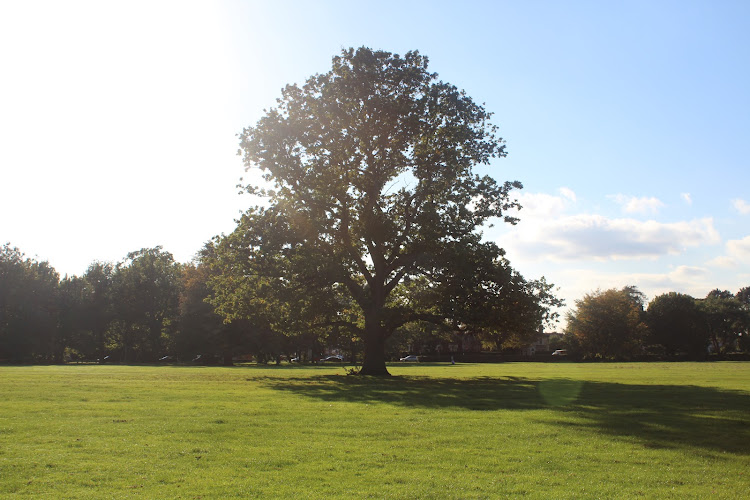 Tettenhall Green