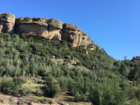 Teyateyaneng Travel Forum Reviews