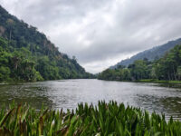Thale Ban National Park Travel Forum Reviews