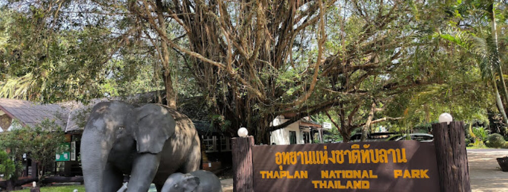 Thap Lan National Park Travel Forum Reviews