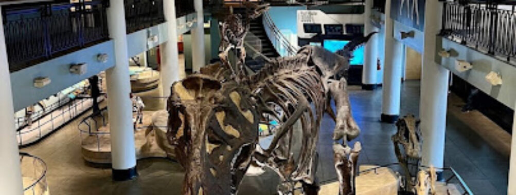 The Academy of Natural Sciences of Drexel University Travel Forum Reviews