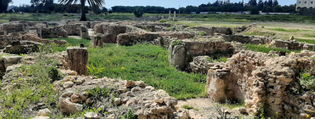 The Archaeological site of Pupput Travel Forum Reviews