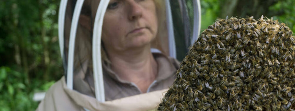 The Bee Centre Travel Forum Reviews