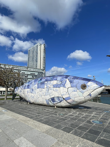 The Big Fish