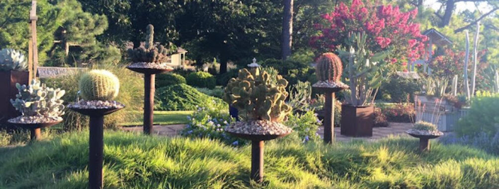 The Botanic Garden at Oklahoma State University Travel Forum Reviews