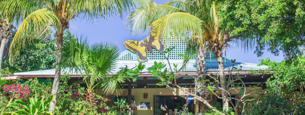 The Butterfly Farm Aruba Travel Forum Reviews