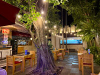 The Caesar Travel Forum Reviews