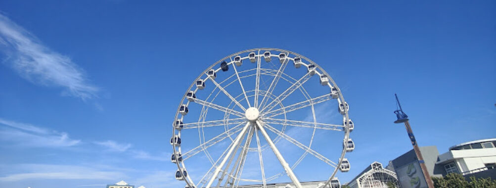 The Cape Wheel Travel Forum Reviews