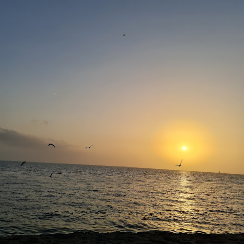 The Corniche Park
