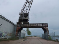 The Cranes Travel Forum Reviews
