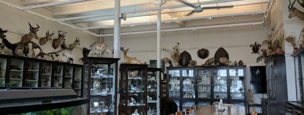 The Edna W. Lawrence Nature Lab at Rhode Island School of Design Travel Forum Reviews