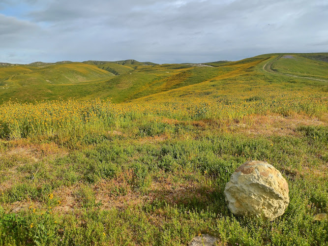 The Ernst Quarries