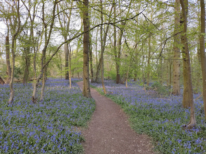 The Great Ashby District Park
