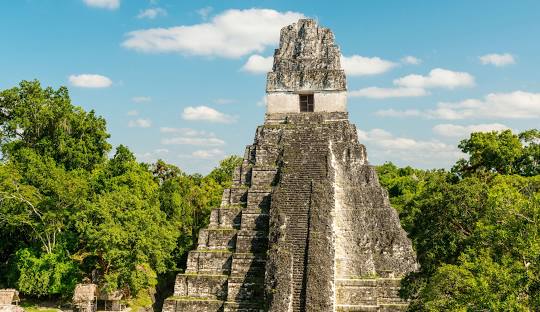 The Great Jaguar Tikal