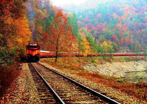 The Great Smoky Mountains Railroad (USA)