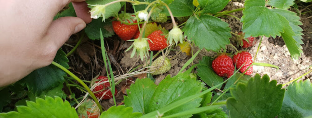 The Hanging Gardens - Vincennes Travel Forum Reviews