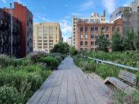 The High Line Travel Forum Reviews