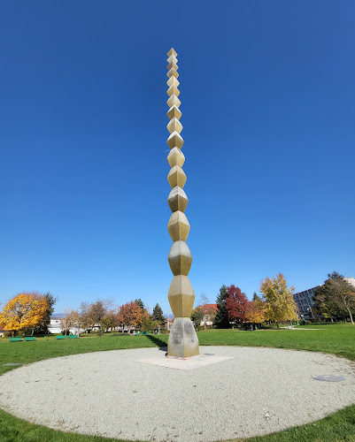 The Infinite Column