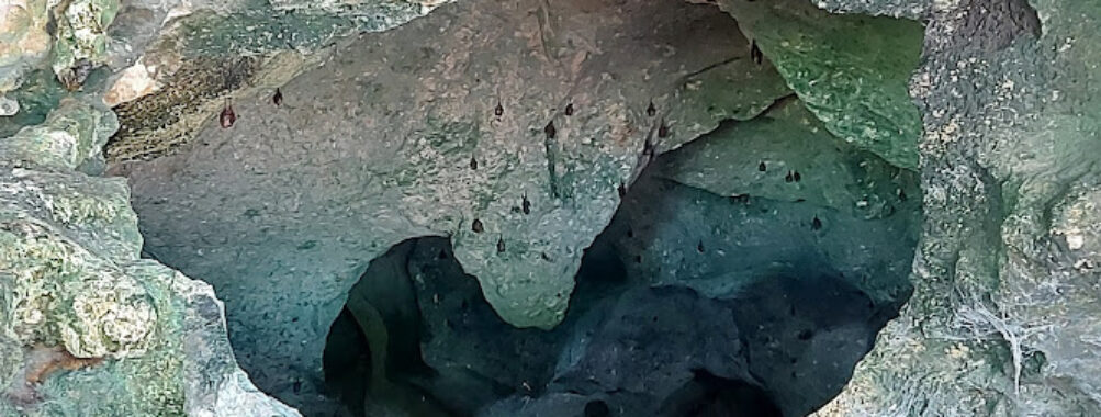 The Islands Caves Travel Forum Reviews
