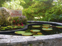 The Kampong, National Tropical Botanical Garden Travel Forum Reviews
