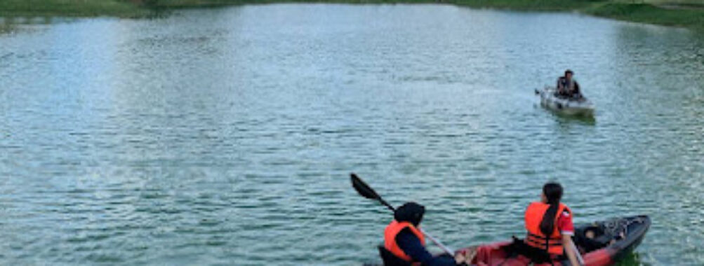The Kayak Travel Forum Reviews