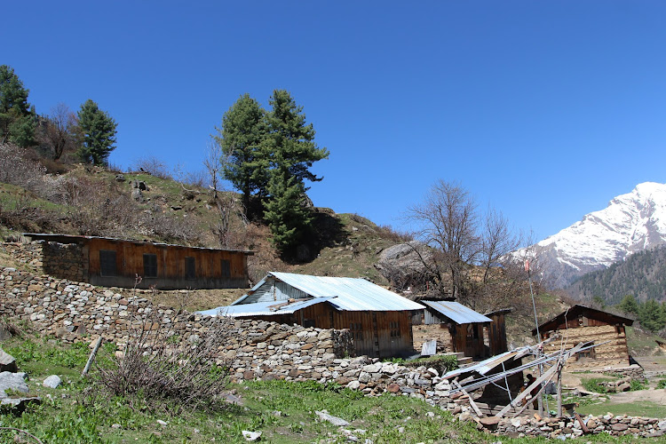 The Khirganga National Park - Himachal Pradesh, India