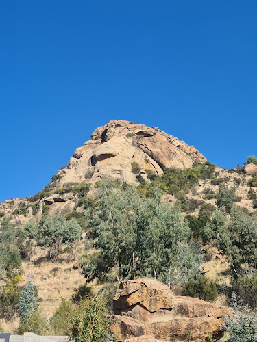 The Lion Rock Mountain