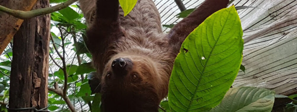 The Living Rainforest Travel Forum Reviews