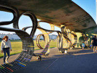 The Long Bench Travel Forum Reviews