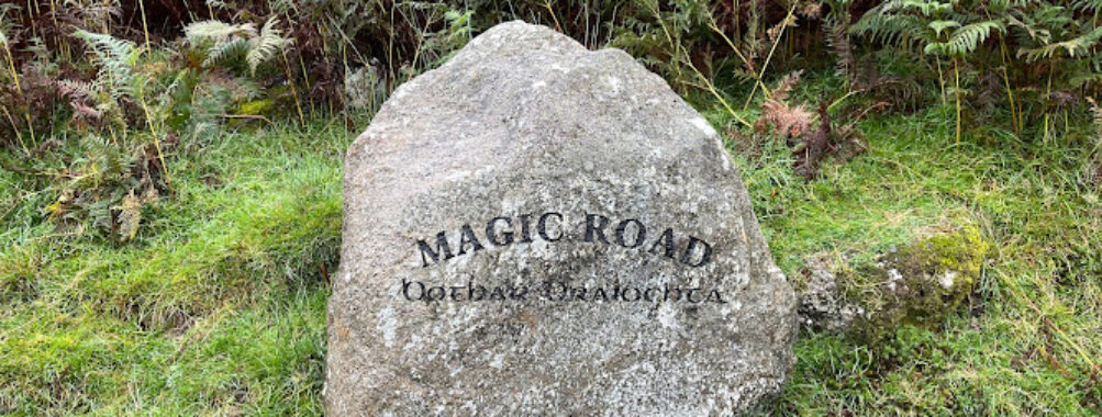 The Magic Road Travel Forum Reviews