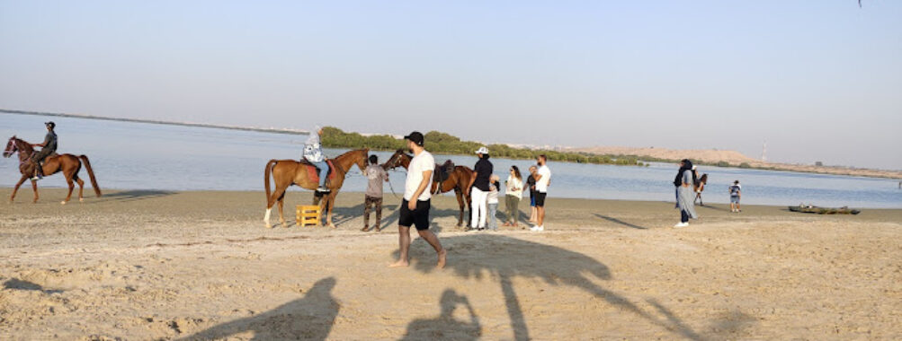 The Mangrove Beach | شاطئ القرم Travel Forum Reviews