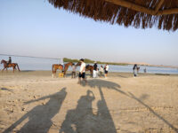 The Mangrove Beach | شاطئ القرم Travel Forum Reviews