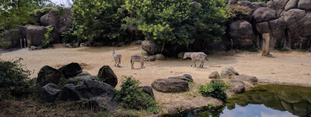 The Maryland Zoo in Baltimore Travel Forum Reviews