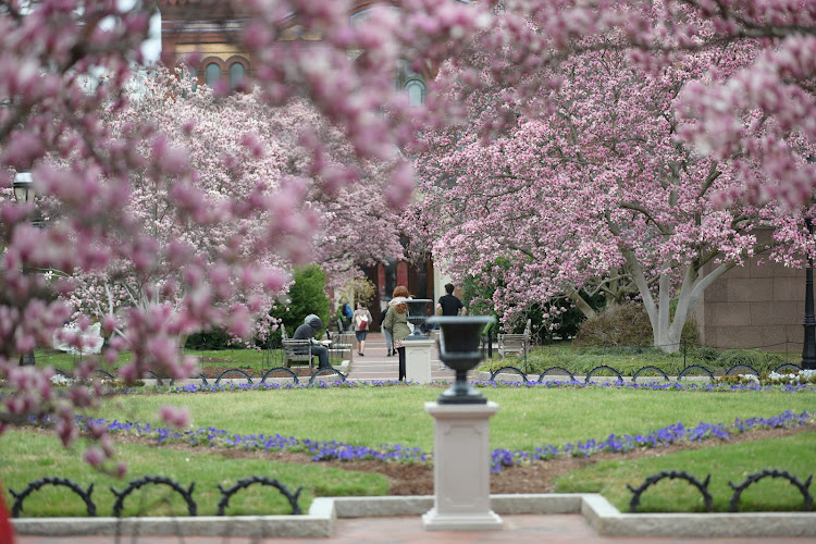 The Moongate Garden