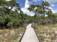 The Naples Preserve Travel Forum Reviews