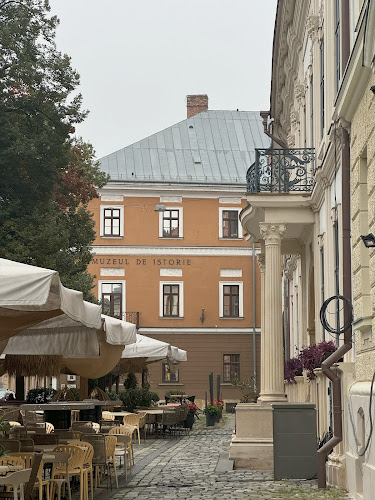 The National Museum of the History of Transylvania