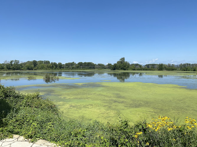 The Nature Place