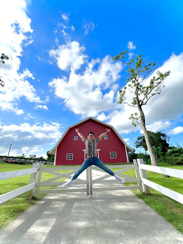 The Old Grove Farmstead