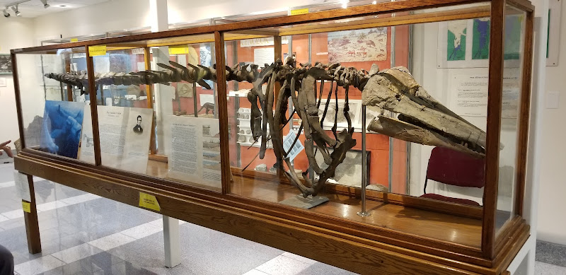 The Perkins Geology Museum