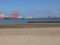 The Promenade New Brighton Travel Forum Reviews