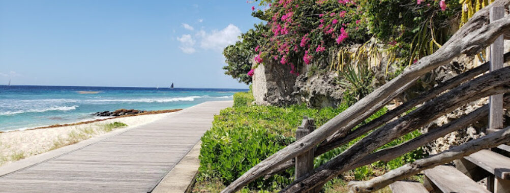 The Richard Haynes Boardwalk Travel Forum Reviews