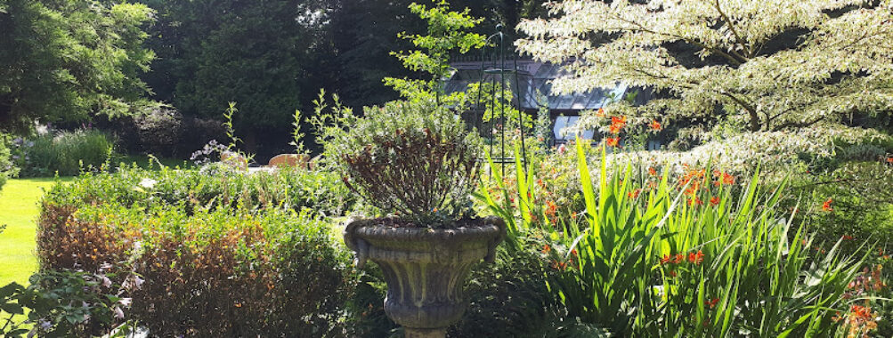 The Ridges Travel Forum Reviews